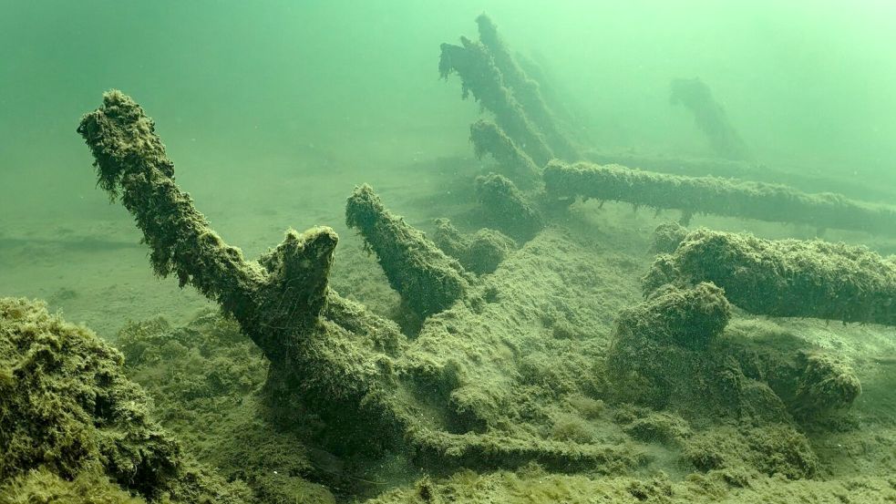 Wrack des 1495 gesunkenen Kriegsschiffs „Gribshunden“ in Südschweden. Foto: Florian Huber/submaris.com/dpa