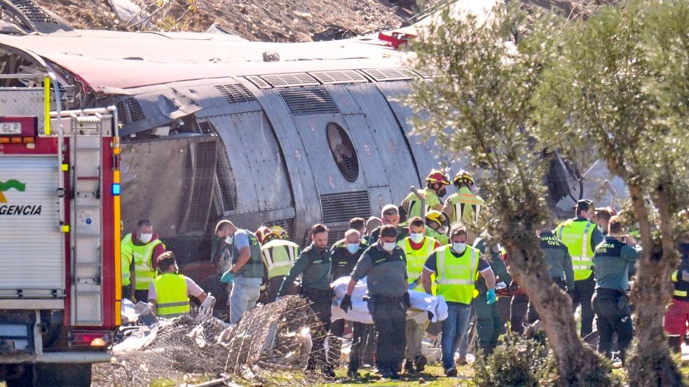 Drei Waggons stürzten einen Bahndamm hinunter. Foto: Manu Fernandez/AP/dpa