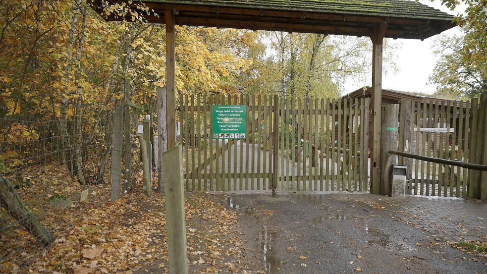 Die Polizei untersucht, wie es zu dem Angriff eines Wolf im Wildpark Johannismühle kommen konnte.   Foto: Carsten Koall/dpa
