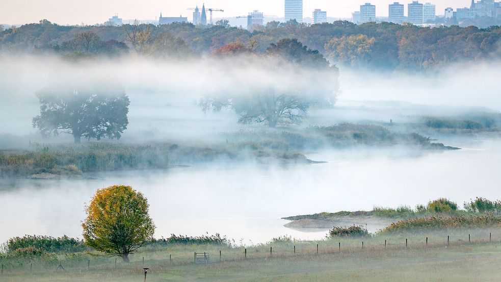 Der Nebel hält sich in den kommenden Tagen oft hartnäckig. (Symbolbild) Foto: Patrick Pleul/dpa
