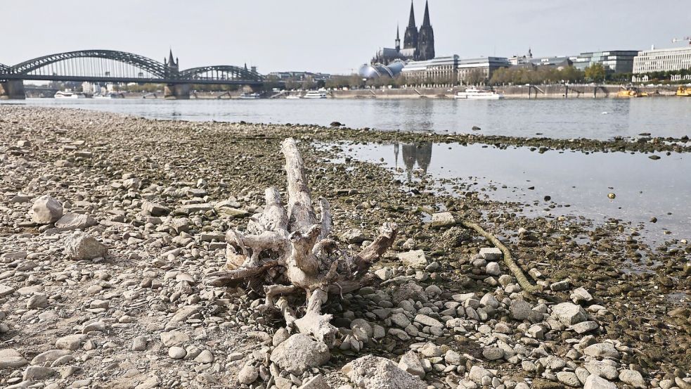 Das Niedrigwasser am Rhein bremste die deutsche Wirtschaft - dennoch legte sie im Sommer zu. (Archivbild) Foto: Oliver Berg/dpa
