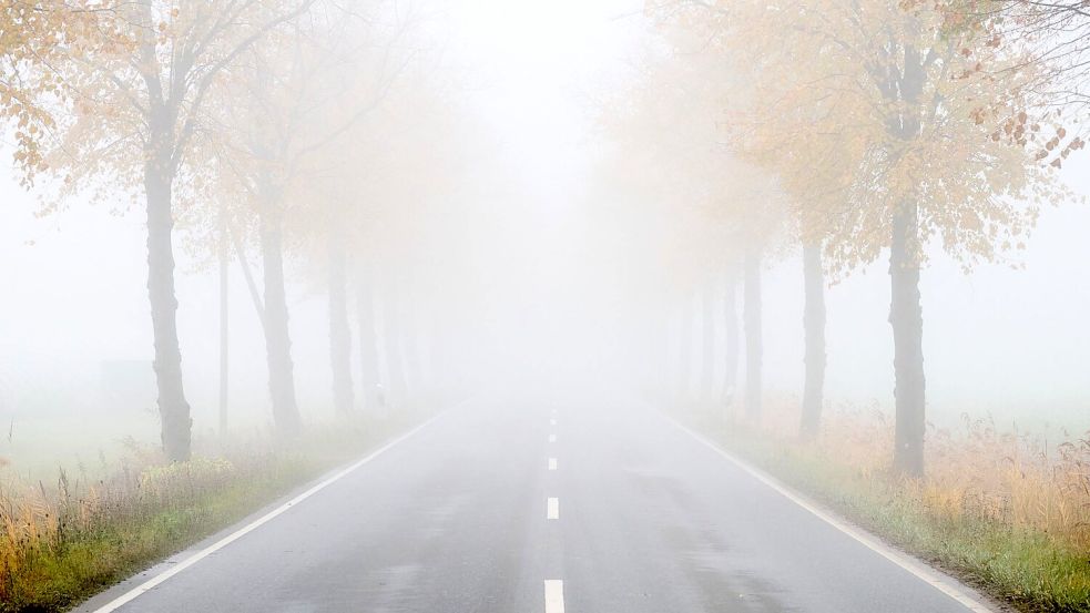 Das Wetter in Deutschland bleibt trüb. Foto: Julian Stratenschulte/dpa