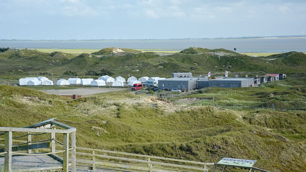 Zeltfreizeit Norderney: Spannendes Programm mitten in den Dnen -  Ostfriesische Nachrichten