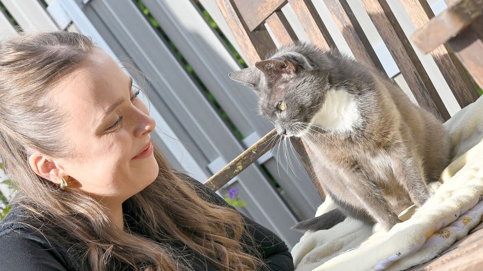 Tierschutz: Kranke Streunerkatze Kitty macht Karriere im Netz