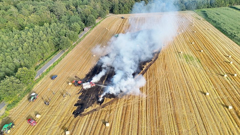 Dog rescued, field extinguished: Marathon of operations for the Norden ...