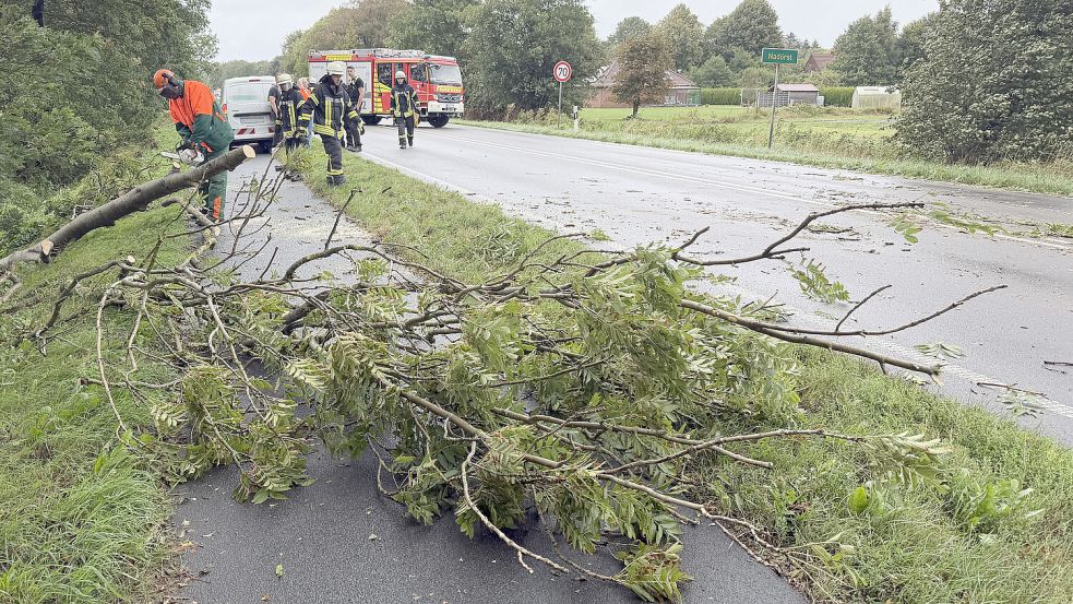 B 72 closed: Tree falls on moving car in Norden