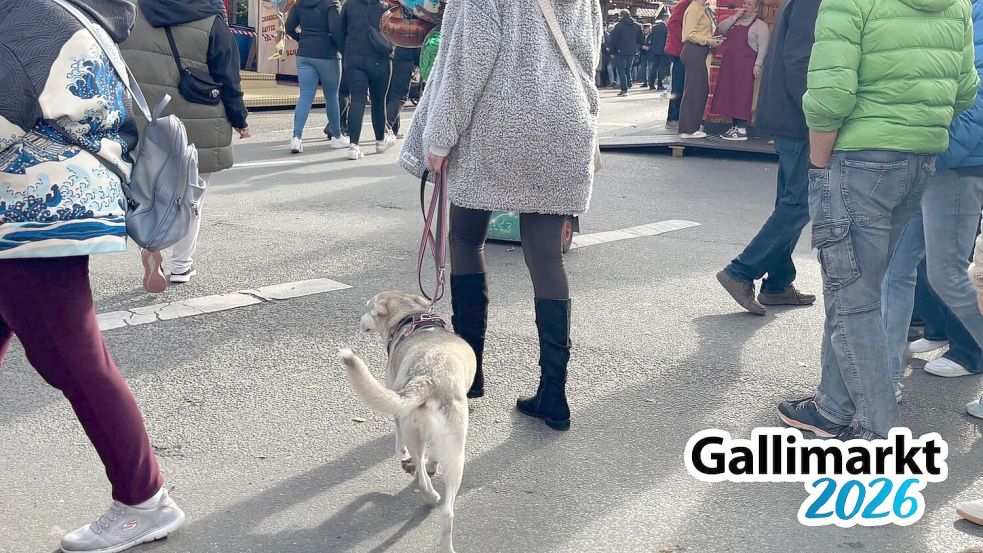 Tierwohl: Stadt Leer greift durch - Hundeverbot auf dem Gallimarkt