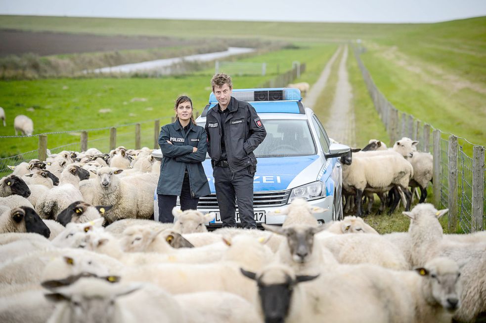 „Friesland“Krimi für TVPreis nominiert Ostfriesische Nachrichten